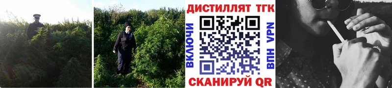 Дистиллят ТГК жижа  Купить  Ликино-Дулёво 